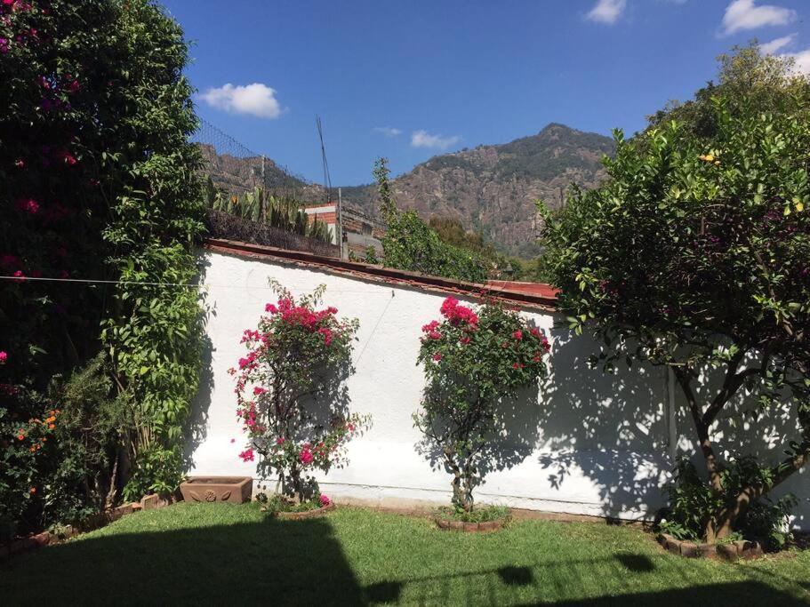 Acogedora Villa Con Alberca Climatizada En El Centro De Tepoztlán Eksteriør billede